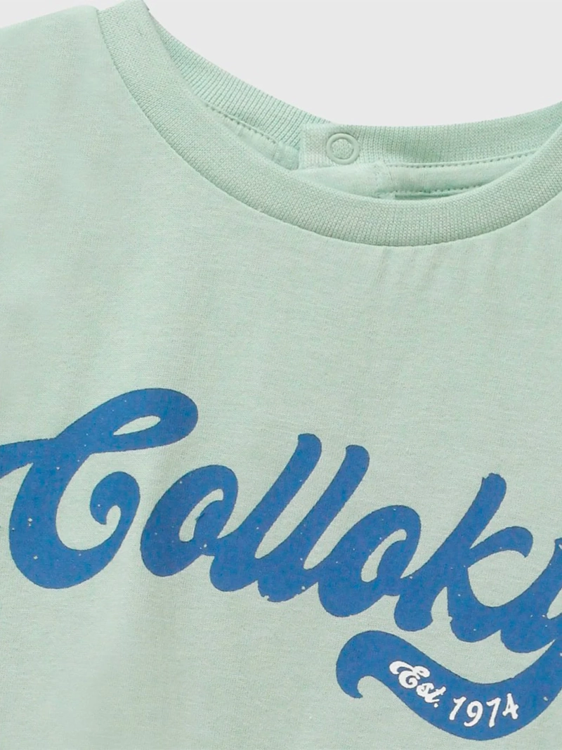 POLERA NIÑO COLLOKY MANGA CORTA ALGODÓN - 3