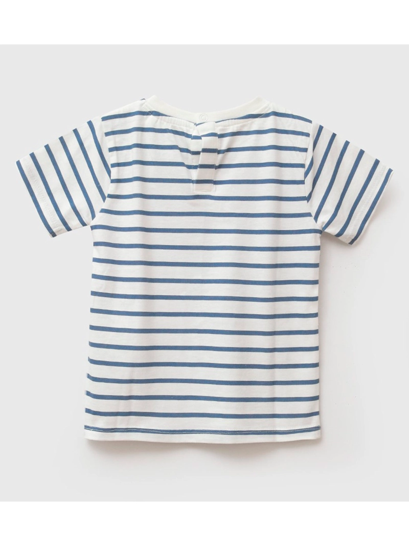 POLERA NIÑO COLLOKY MANGA CORTA ALGODÓN - 2