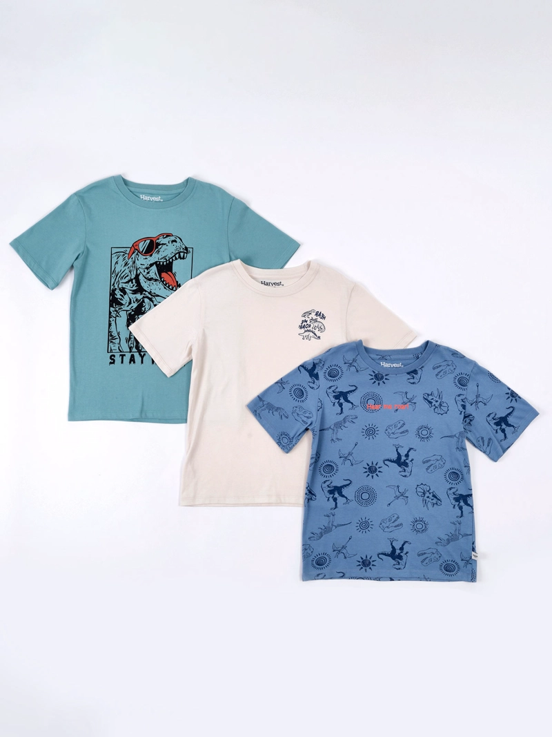 PACK X3 POLERAS NIÑO HARVEST MANGA CORTA - 1