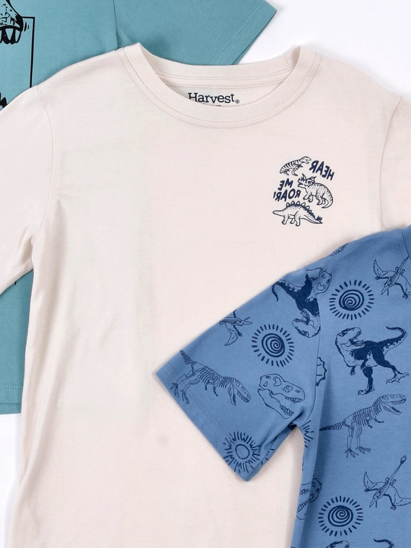 PACK X3 POLERAS NIÑO HARVEST MANGA CORTA - 3