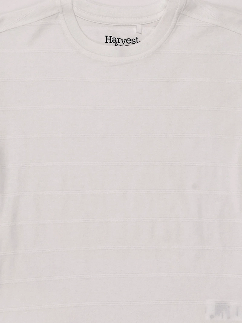 POLERA NIÑO HARVEST MANGA CORTA ALGODÓN  - 3