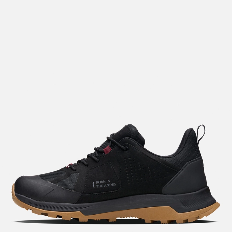ZAPATILLAS HOMBRE LIPPI TREKKING NEGRO VULCANO ONYX B-DRY  - 2