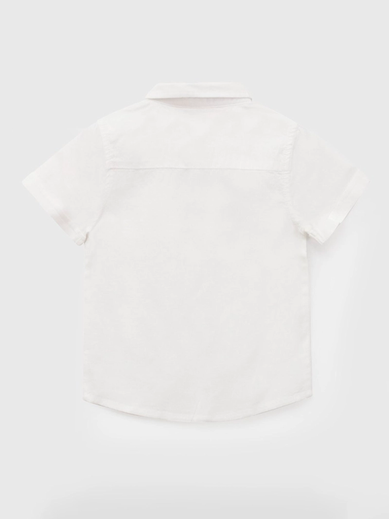 CAMISA NIÑO COLLOKY MANGA CORTA LISA - 2