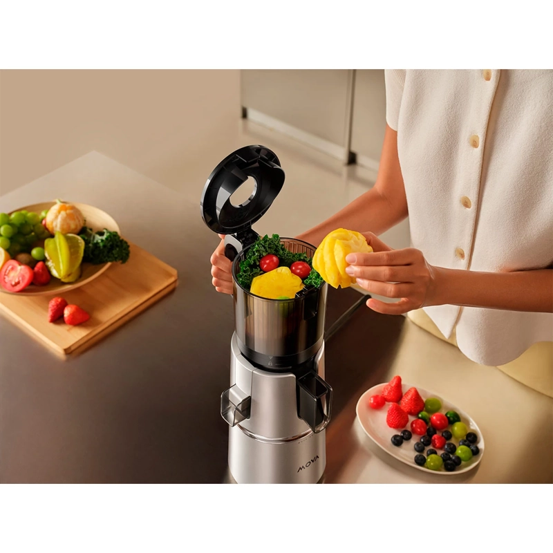 EXTRACTOR DE JUGO MOVA SJ10 - 7