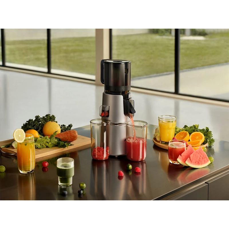 EXTRACTOR DE JUGO MOVA SJ10 - 10