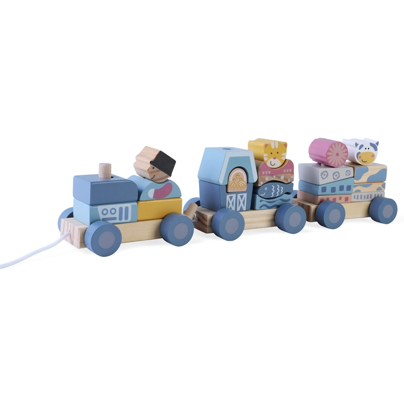 SET DE BLOQUES EDUFUN TRENCITO
