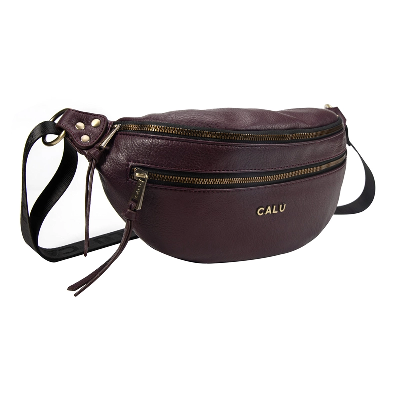 CARTERA CALU ERIN BURDEO - 2
