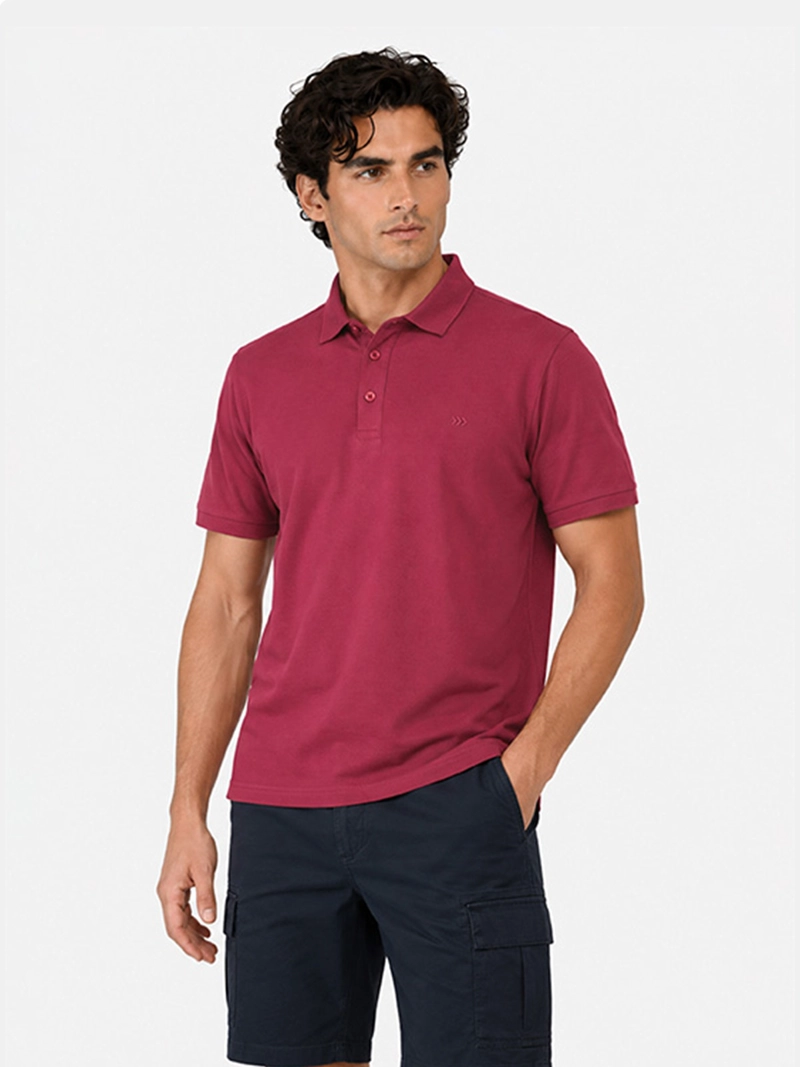 POLERA HOMBRE ARROW ALGODÓN PIQUE