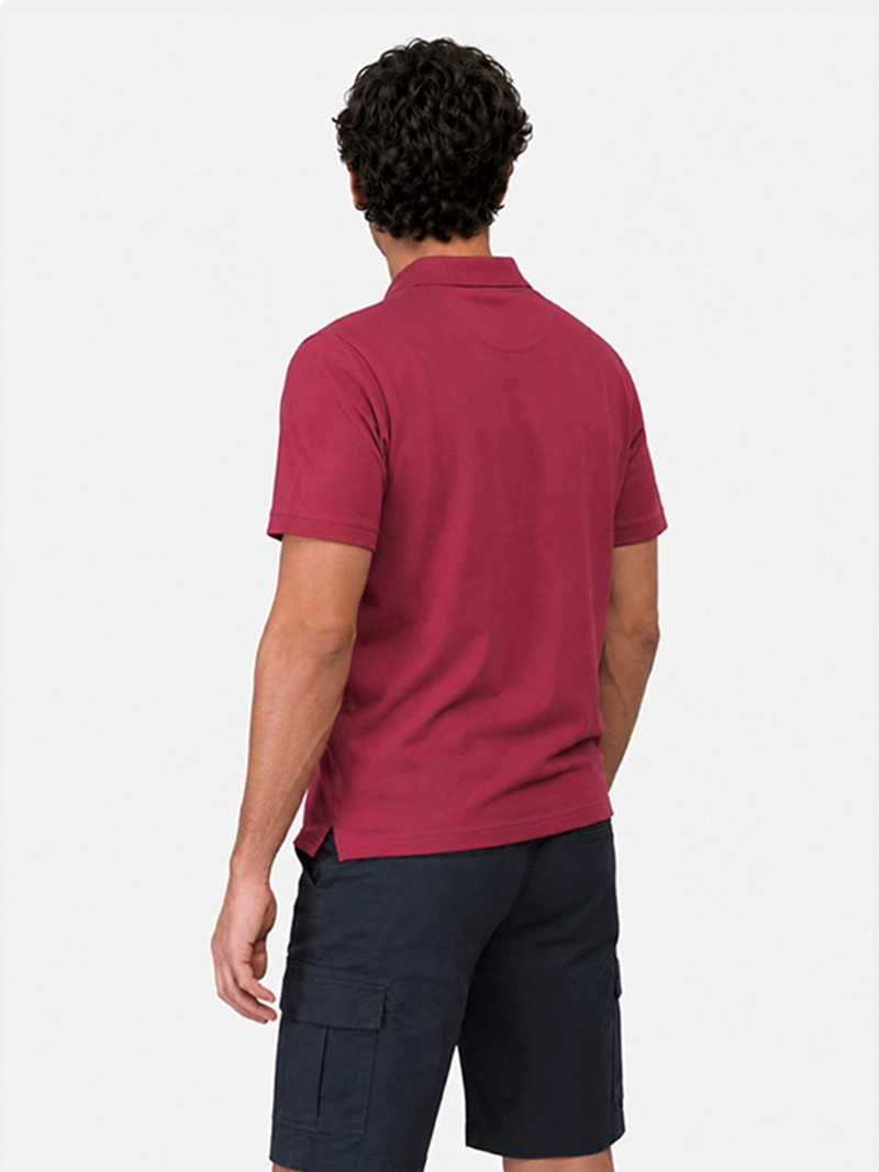 POLERA HOMBRE ARROW ALGODÓN PIQUE - 2