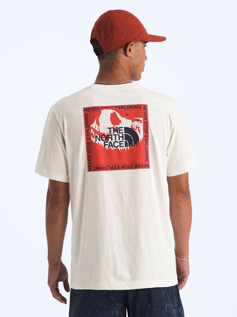 POLERA HOMBRE THE NORTH FACE STAY EXPLORING - 2