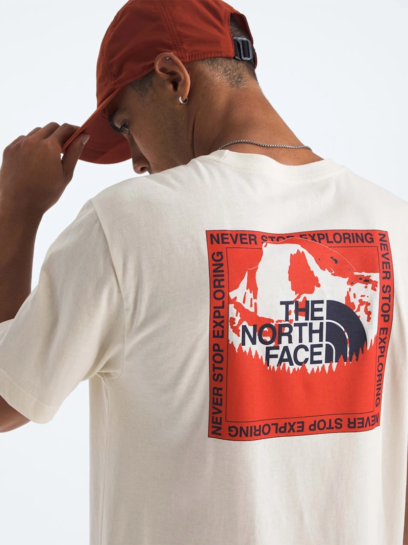 POLERA HOMBRE THE NORTH FACE STAY EXPLORING - 3