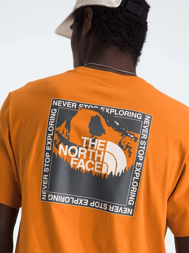 POLERA HOMBRE THE NORTH FACE STAY EXPLORING - 3