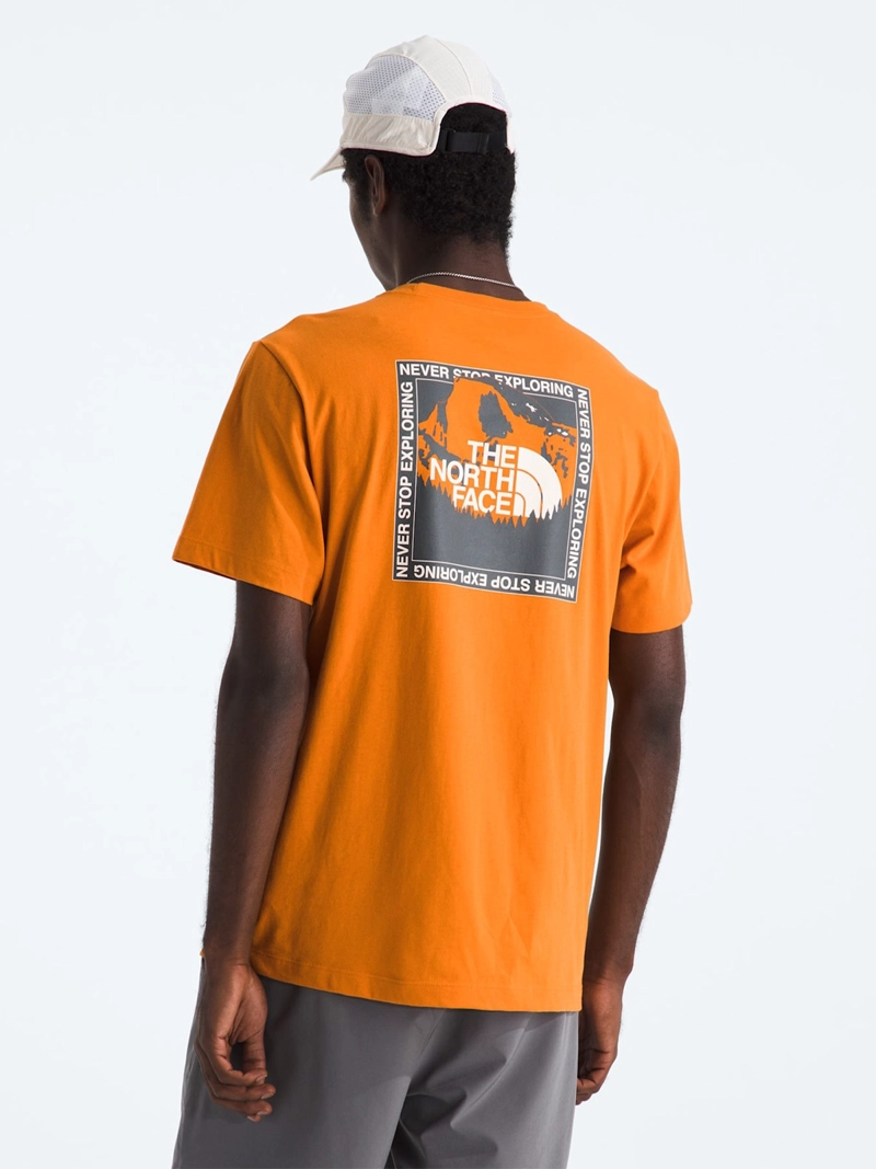 POLERA HOMBRE THE NORTH FACE STAY EXPLORING - 2