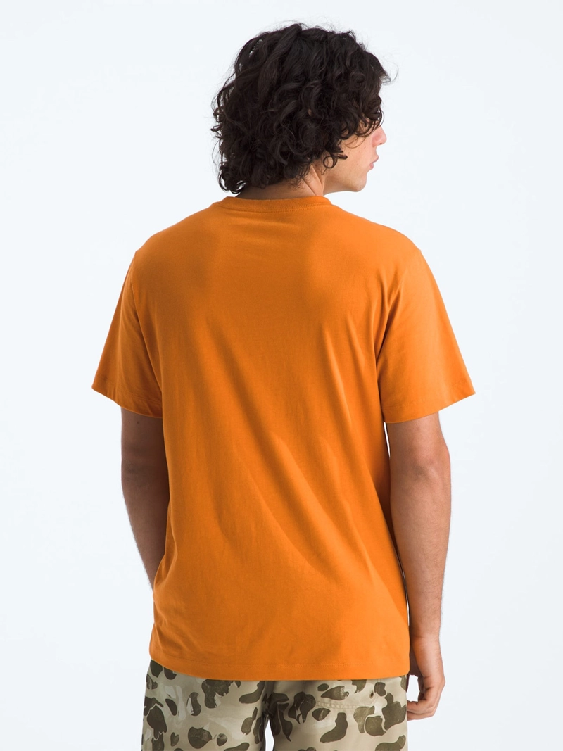 POLERA HOMBRE THE NORTH FACE EVOLUTION SIMPLE DOME ALGODÓN - 2
