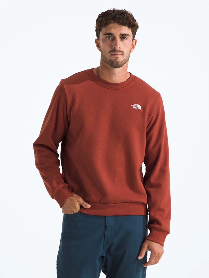 POLERÓN OUTDOOR HOMBRE THE NORTH FACE EVOLUTION SIMPLE DOME CREW - 1