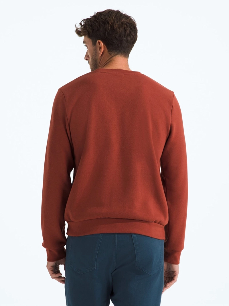 POLERÓN OUTDOOR HOMBRE THE NORTH FACE EVOLUTION SIMPLE DOME CREW - 2