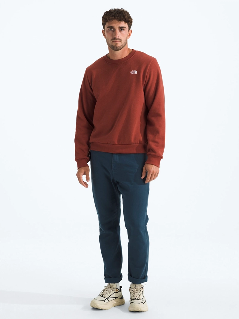 POLERÓN OUTDOOR HOMBRE THE NORTH FACE EVOLUTION SIMPLE DOME CREW - 3