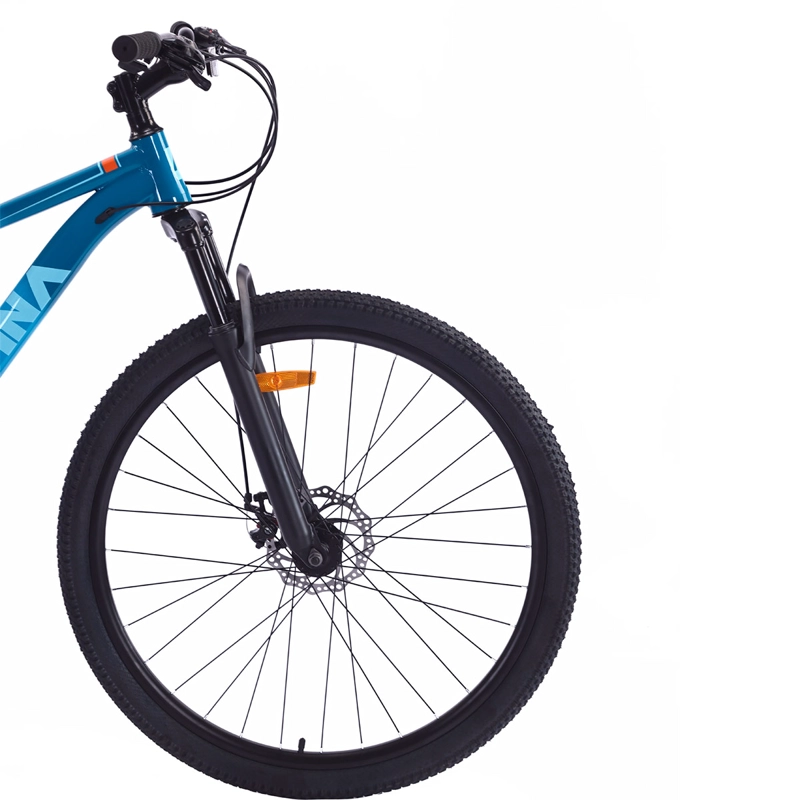 Alpina Lady SX Aro 29 Azul, foto 5