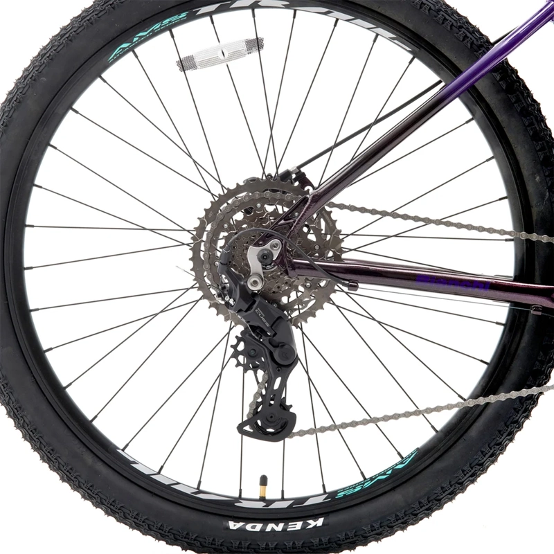 BICICLETA MOUNTAIN BIKE BIANCHI AGGRESSOR ARO 29 - 5