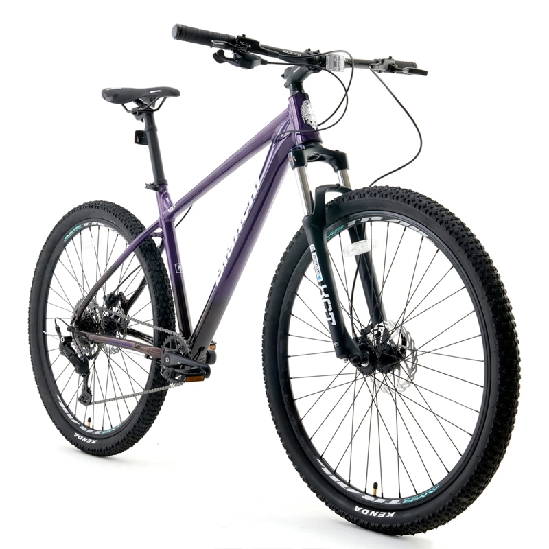 BICICLETA MOUNTAIN BIKE BIANCHI AGGRESSOR ARO 29 - 2