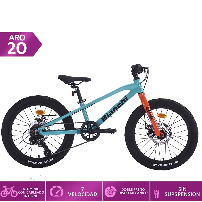 BICICLETA INFANTIL BIANCHI ALLOY ARO 20  - 1