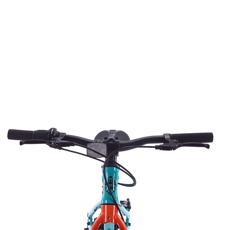 BICICLETA INFANTIL BIANCHI ALLOY ARO 20  - 3