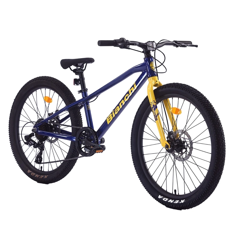 BICILETA MOUNTAIN BIKE BIANCHI ALLOY ARO 24 - 2