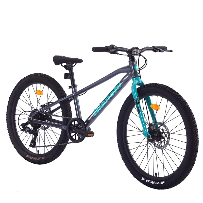 BICILETA MOUNTAIN BIKE BIANCHI ALLOY ARO 24 - 2