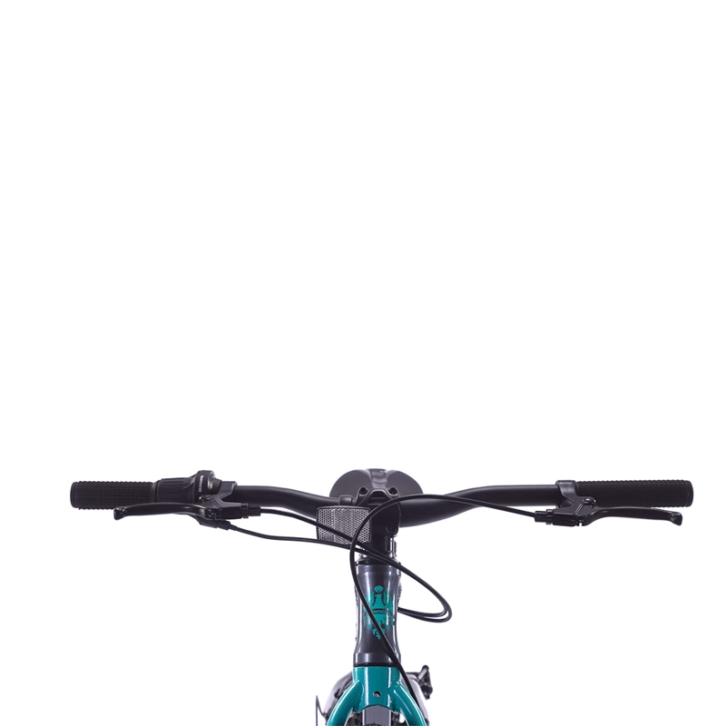 BICILETA MOUNTAIN BIKE BIANCHI ALLOY ARO 24 - 3