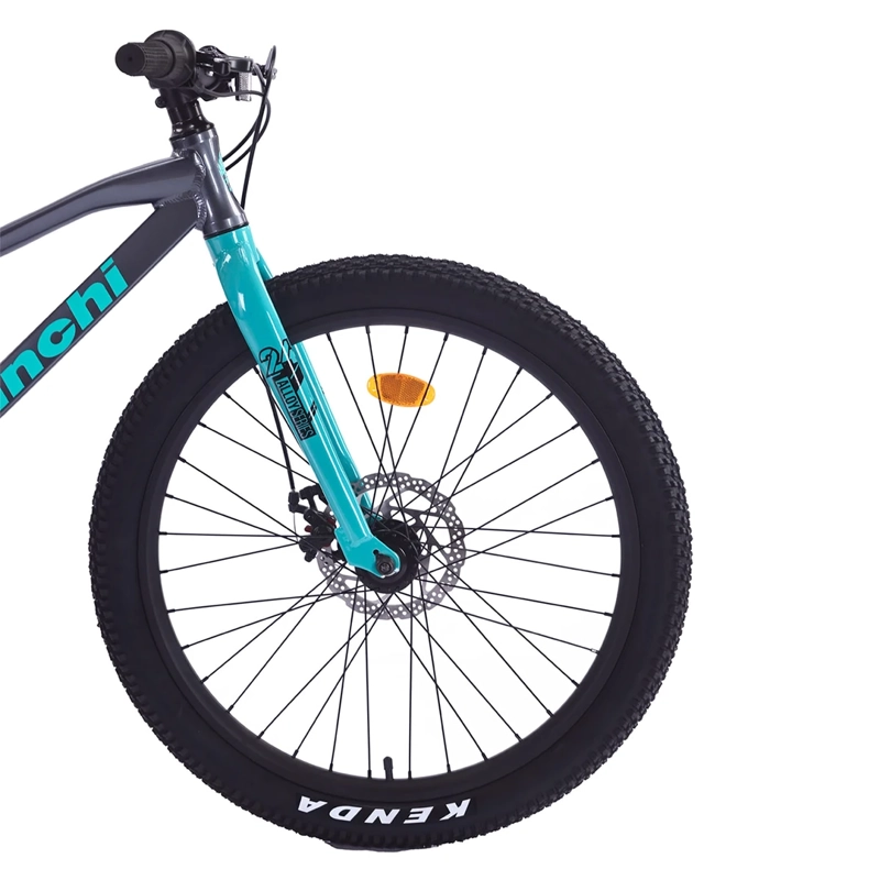 BICILETA MOUNTAIN BIKE BIANCHI ALLOY ARO 24 - 5