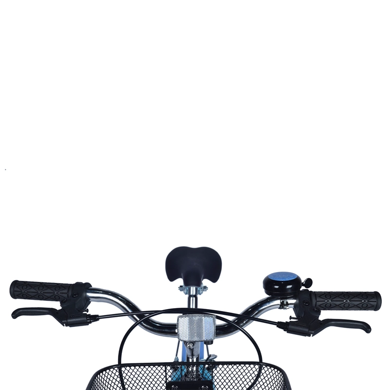 BICICLETA BIANCHI CLASSIC ARO 20 - 3