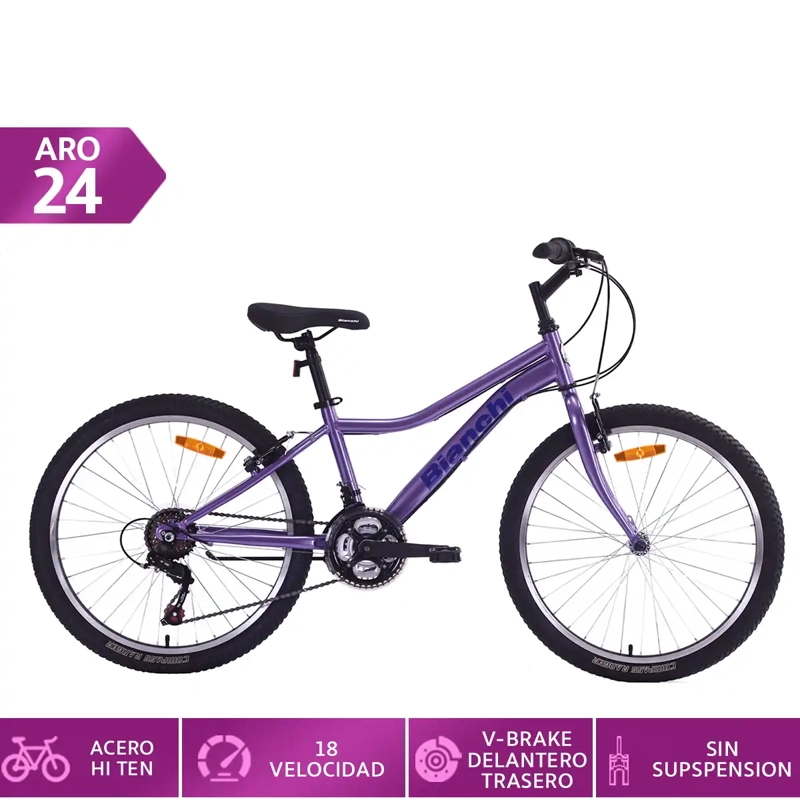 BICICLETA BIANCHI CLASSIC ARO 24 - 1