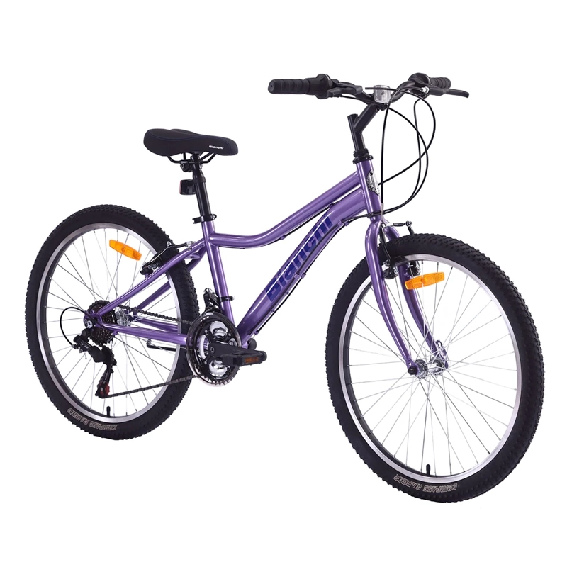 BICICLETA BIANCHI CLASSIC ARO 24 - 2