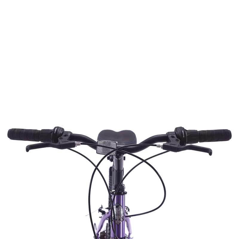 BICICLETA BIANCHI CLASSIC ARO 24 - 3