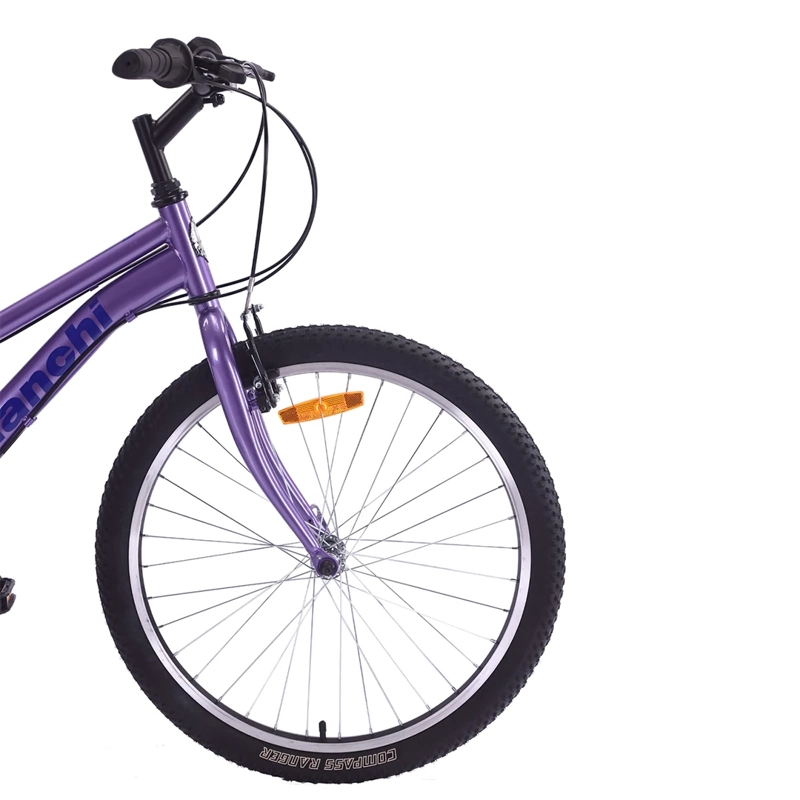 BICICLETA BIANCHI CLASSIC ARO 24 - 4