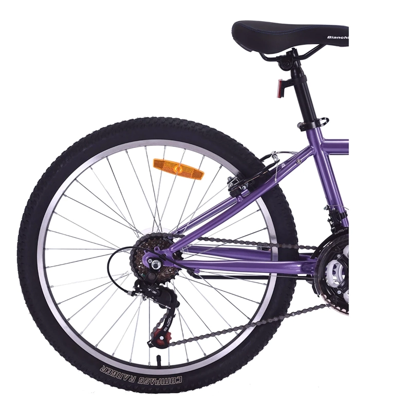 BICICLETA BIANCHI CLASSIC ARO 24 - 5