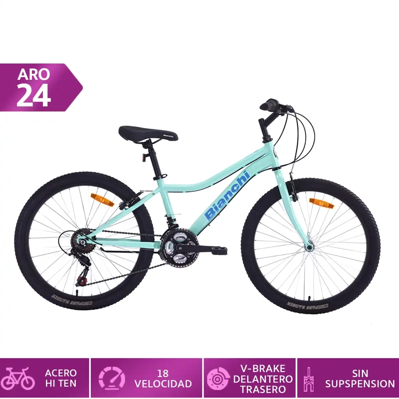 BICICLETA BIANCHI CLASSIC ARO 24 - 1