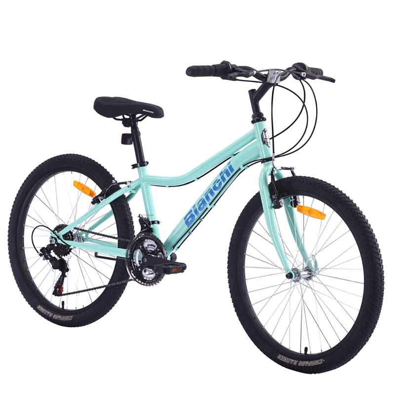 BICICLETA BIANCHI CLASSIC ARO 24 - 2