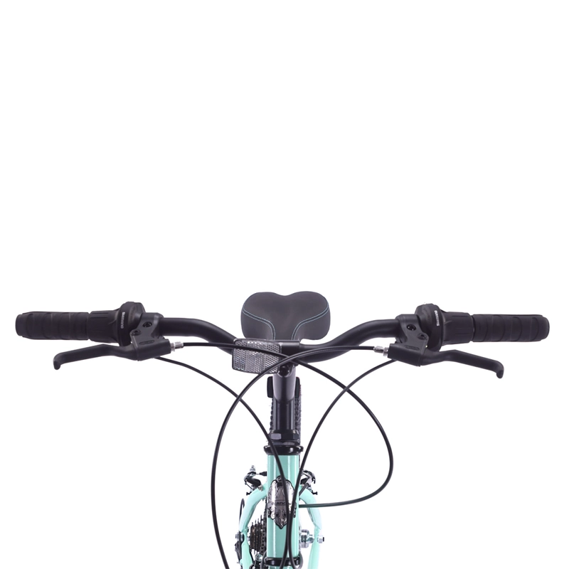 BICICLETA BIANCHI CLASSIC ARO 24 - 3