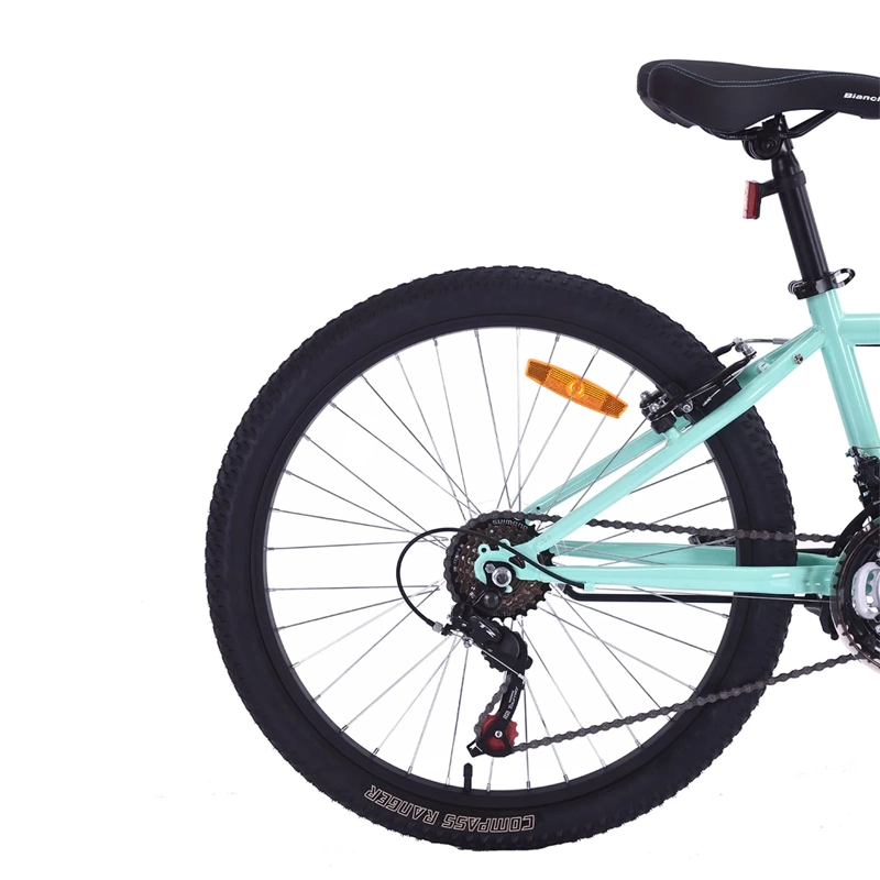 BICICLETA BIANCHI CLASSIC ARO 24 - 4