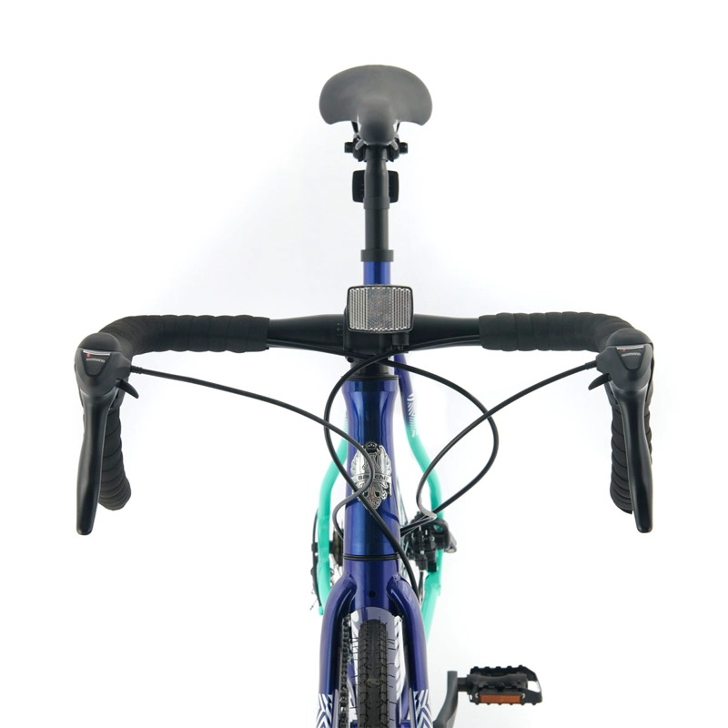 BICICLETA BIANCHI CORSA PLUS H-56 - 3