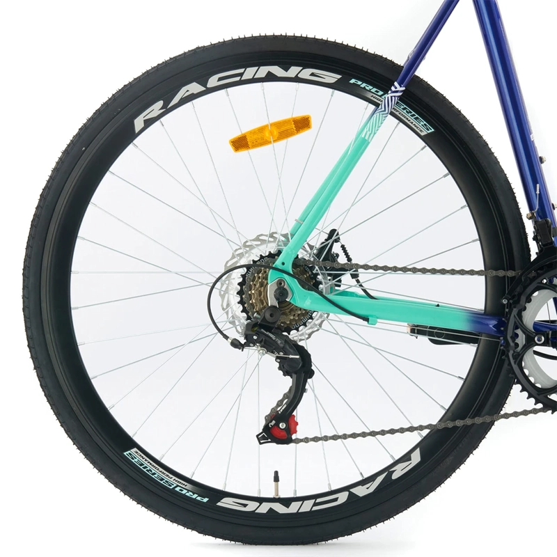 BICICLETA BIANCHI CORSA PLUS H-56 - 5