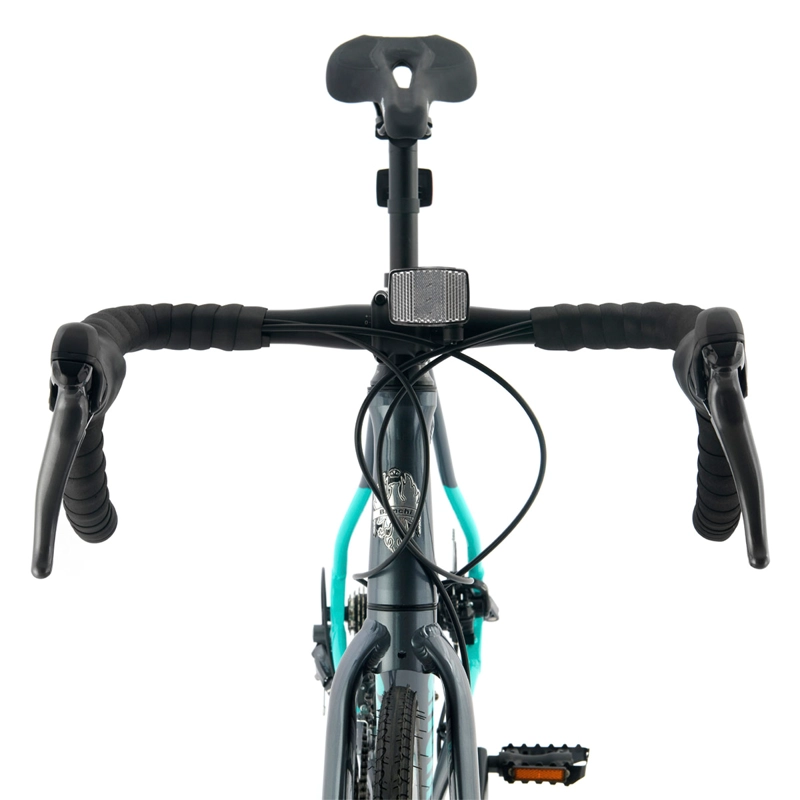 BICICLETA BIANCHI CORSA SS H-56 - 3