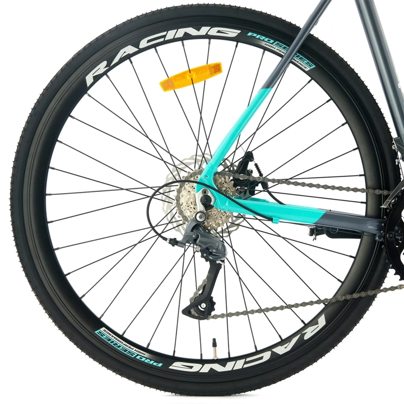 BICICLETA BIANCHI CORSA SS H-56 - 5
