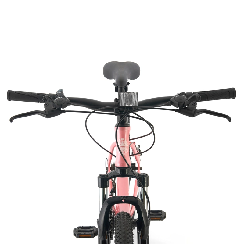 BICICLETA MOUNTAIN BIKE BIANCHI EVOLUTION ARO 27,5 - 3