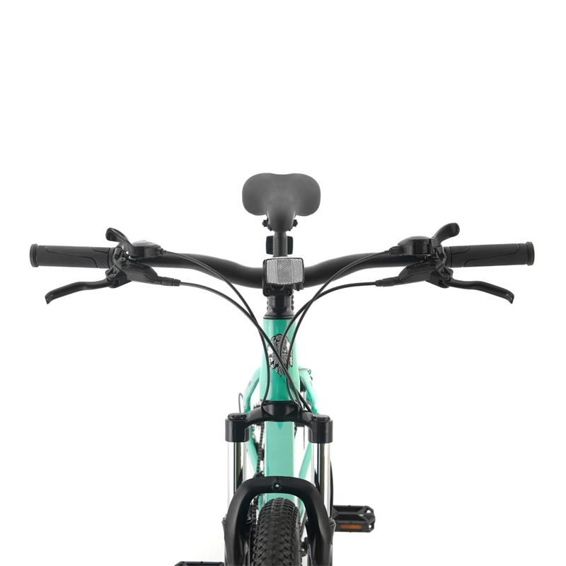 BICICLETA MOUNTAIN BIKE BIANCHI GENESIS ARO 29 - 3