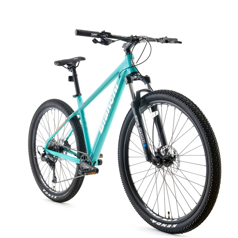 BICICLETA MOUNTAIN BIKE BIANCHI PEREGRINE ARO 29  - 2
