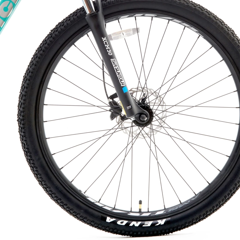 BICICLETA MOUNTAIN BIKE BIANCHI PEREGRINE ARO 29  - 5
