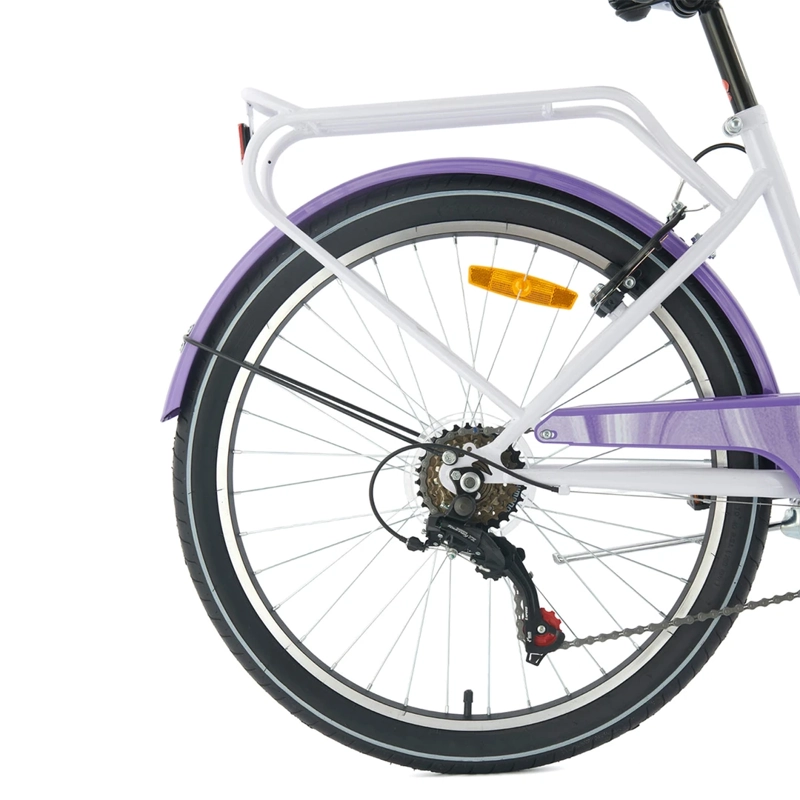 BICICLETA BIANCHI STREET ARO 24 - 5
