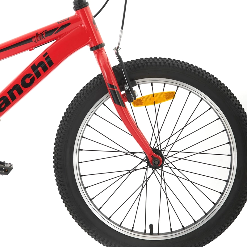 BICICLETA INFANTIL BIANCHI WOLF ARO 20 - 4